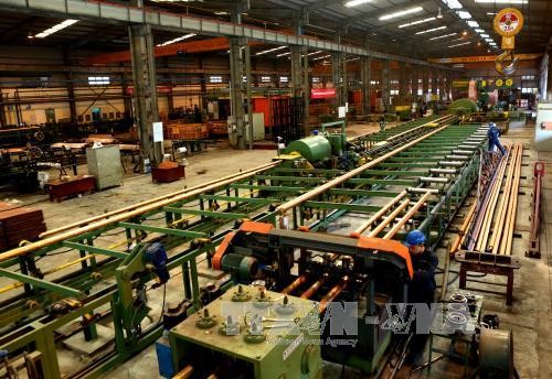 Private sector is the driving force of Vietnam’s competitiveness - ảnh 1